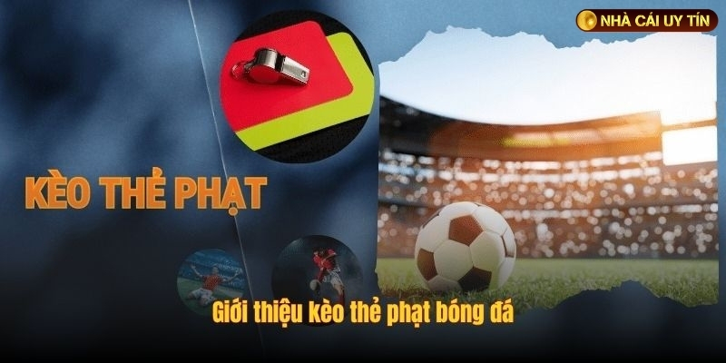 Hướng dẫn mẹo soi kèo thẻ phạt hiệu quả