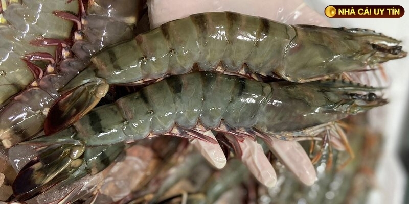 Mơ thấy tôm đánh đề con gì và tại sao hình ảnh này xuất hiện thường xuyên? 