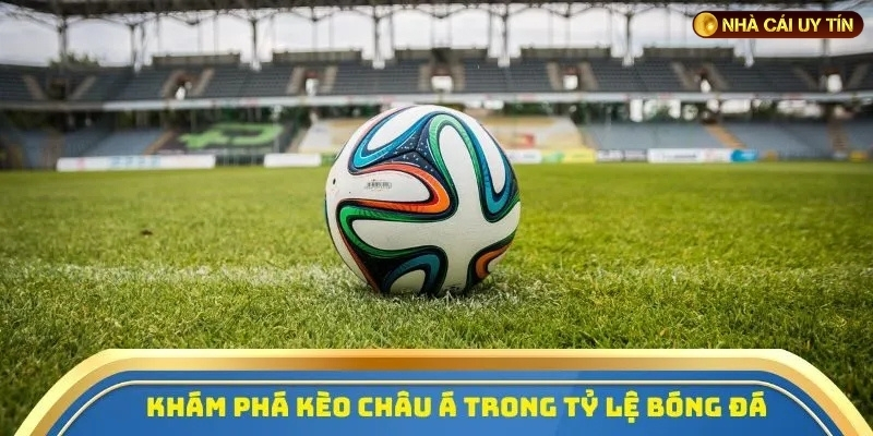 Cách đọc kèo 1/4 dễ hiểu trong bảng tỷ lệ cược